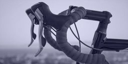 Bet on Vincenzo Nibali vs. The Field