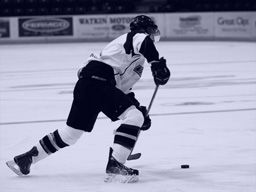 Bet on Kassel Huskies vs. Lowen Frankfurt