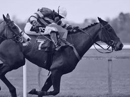 Bet on Tare (AUS) 19th Jul - R4 2000m Hcap