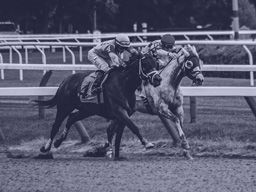 Bet on Pakn (AUS) 19th Jul - R4 1100m 3yo