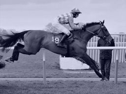 Bet on CharlT (US) 29th May - R1 7f Mdn Claim