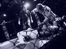 Bet on Amanda Lemos vs. Miranda Granger
