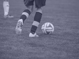 Bet on Paide Linnameeskond vs. Flora Tallinn