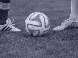 Bet on Wolfsburg vs. Mainz 05