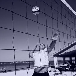 Bet on Delecta Bydgoszcz vs. Lotos Trefl Gdansk